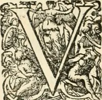 Picture 97 of 333 from I.[-VI.] pars Romanae vrbis topographiae & antiquitatum, quâ succinctê & breviter describuntur omnia quae tam publicê quam privatim videntur anim-adversione digna: (1597), leaf 317