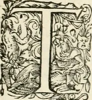 An illustration from I.[-VI.] pars Romanae vrbis topographiae & antiquitatum, quâ succinctê & breviter describuntur omnia quae tam publicê quam privatim videntur anim-adversione digna: (1597)