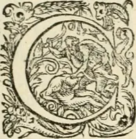 Picture 102 of 333 from I.[-VI.] pars Romanae vrbis topographiae & antiquitatum, quâ succinctê & breviter describuntur omnia quae tam publicê quam privatim videntur anim-adversione digna: (1597), leaf 326