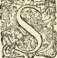 An illustration from I.[-VI.] pars Romanae vrbis topographiae & antiquitatum, quâ succinctê & breviter describuntur omnia quae tam publicê quam privatim videntur anim-adversione digna: (1597)