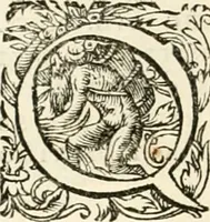 An illustration from I.[-VI.] pars Romanae vrbis topographiae & antiquitatum, quâ succinctê & breviter describuntur omnia quae tam publicê quam privatim videntur anim-adversione digna: (1597)