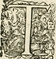 An illustration from I.[-VI.] pars Romanae vrbis topographiae & antiquitatum, quâ succinctê & breviter describuntur omnia quae tam publicê quam privatim videntur anim-adversione digna: (1597)