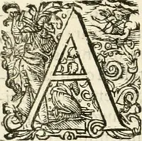 Picture 112 of 333 from I.[-VI.] pars Romanae vrbis topographiae & antiquitatum, quâ succinctê & breviter describuntur omnia quae tam publicê quam privatim videntur anim-adversione digna: (1597), leaf 339
