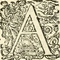 An illustration from I.[-VI.] pars Romanae vrbis topographiae & antiquitatum, quâ succinctê & breviter describuntur omnia quae tam publicê quam privatim videntur anim-adversione digna: (1597)