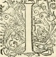 An illustration from I.[-VI.] pars Romanae vrbis topographiae & antiquitatum, quâ succinctê & breviter describuntur omnia quae tam publicê quam privatim videntur anim-adversione digna: (1597)