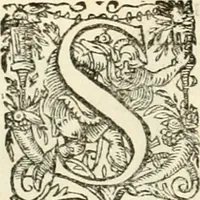 An illustration from I.[-VI.] pars Romanae vrbis topographiae & antiquitatum, quâ succinctê & breviter describuntur omnia quae tam publicê quam privatim videntur anim-adversione digna: (1597)