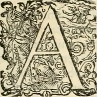 An illustration from I.[-VI.] pars Romanae vrbis topographiae & antiquitatum, quâ succinctê & breviter describuntur omnia quae tam publicê quam privatim videntur anim-adversione digna: (1597)