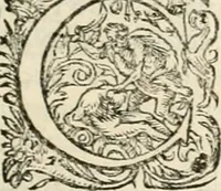 Picture 121 of 333 from I.[-VI.] pars Romanae vrbis topographiae & antiquitatum, quâ succinctê & breviter describuntur omnia quae tam publicê quam privatim videntur anim-adversione digna: (1597), leaf 348