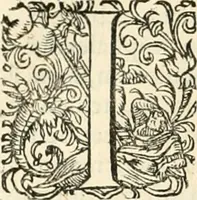 An illustration from I.[-VI.] pars Romanae vrbis topographiae & antiquitatum, quâ succinctê & breviter describuntur omnia quae tam publicê quam privatim videntur anim-adversione digna: (1597)