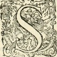 Picture 123 of 333 from I.[-VI.] pars Romanae vrbis topographiae & antiquitatum, quâ succinctê & breviter describuntur omnia quae tam publicê quam privatim videntur anim-adversione digna: (1597), leaf 349