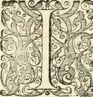 An illustration from I.[-VI.] pars Romanae vrbis topographiae & antiquitatum, quâ succinctê & breviter describuntur omnia quae tam publicê quam privatim videntur anim-adversione digna: (1597)