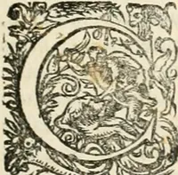 An illustration from I.[-VI.] pars Romanae vrbis topographiae & antiquitatum, quâ succinctê & breviter describuntur omnia quae tam publicê quam privatim videntur anim-adversione digna: (1597)