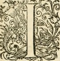 Picture 129 of 333 from I.[-VI.] pars Romanae vrbis topographiae & antiquitatum, quâ succinctê & breviter describuntur omnia quae tam publicê quam privatim videntur anim-adversione digna: (1597), leaf 362