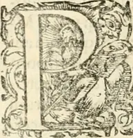 Picture 130 of 333 from I.[-VI.] pars Romanae vrbis topographiae & antiquitatum, quâ succinctê & breviter describuntur omnia quae tam publicê quam privatim videntur anim-adversione digna: (1597), leaf 363