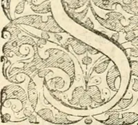 Picture 131 of 333 from I.[-VI.] pars Romanae vrbis topographiae & antiquitatum, quâ succinctê & breviter describuntur omnia quae tam publicê quam privatim videntur anim-adversione digna: (1597), leaf 363
