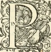 An illustration from I.[-VI.] pars Romanae vrbis topographiae & antiquitatum, quâ succinctê & breviter describuntur omnia quae tam publicê quam privatim videntur anim-adversione digna: (1597)