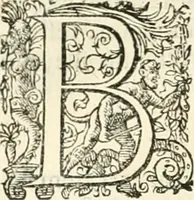 Picture 133 of 333 from I.[-VI.] pars Romanae vrbis topographiae & antiquitatum, quâ succinctê & breviter describuntur omnia quae tam publicê quam privatim videntur anim-adversione digna: (1597), leaf 367