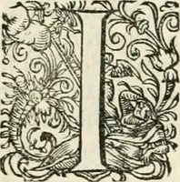 An illustration from I.[-VI.] pars Romanae vrbis topographiae & antiquitatum, quâ succinctê & breviter describuntur omnia quae tam publicê quam privatim videntur anim-adversione digna: (1597)