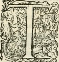 Picture 141 of 333 from I.[-VI.] pars Romanae vrbis topographiae & antiquitatum, quâ succinctê & breviter describuntur omnia quae tam publicê quam privatim videntur anim-adversione digna: (1597), leaf 372