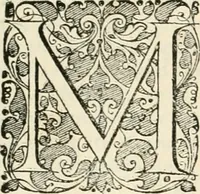 An illustration from I.[-VI.] pars Romanae vrbis topographiae & antiquitatum, quâ succinctê & breviter describuntur omnia quae tam publicê quam privatim videntur anim-adversione digna: (1597)
