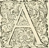 Picture 143 of 333 from I.[-VI.] pars Romanae vrbis topographiae & antiquitatum, quâ succinctê & breviter describuntur omnia quae tam publicê quam privatim videntur anim-adversione digna: (1597), leaf 375