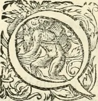 An illustration from I.[-VI.] pars Romanae vrbis topographiae & antiquitatum, quâ succinctê & breviter describuntur omnia quae tam publicê quam privatim videntur anim-adversione digna: (1597)