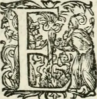 An illustration from I.[-VI.] pars Romanae vrbis topographiae & antiquitatum, quâ succinctê & breviter describuntur omnia quae tam publicê quam privatim videntur anim-adversione digna: (1597)
