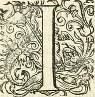 An illustration from I.[-VI.] pars Romanae vrbis topographiae & antiquitatum, quâ succinctê & breviter describuntur omnia quae tam publicê quam privatim videntur anim-adversione digna: (1597)