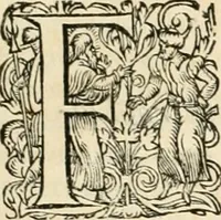 An illustration from I.[-VI.] pars Romanae vrbis topographiae & antiquitatum, quâ succinctê & breviter describuntur omnia quae tam publicê quam privatim videntur anim-adversione digna: (1597)