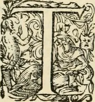 An illustration from I.[-VI.] pars Romanae vrbis topographiae & antiquitatum, quâ succinctê & breviter describuntur omnia quae tam publicê quam privatim videntur anim-adversione digna: (1597)