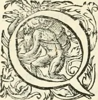 An illustration from I.[-VI.] pars Romanae vrbis topographiae & antiquitatum, quâ succinctê & breviter describuntur omnia quae tam publicê quam privatim videntur anim-adversione digna: (1597)
