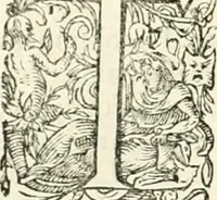 An illustration from I.[-VI.] pars Romanae vrbis topographiae & antiquitatum, quâ succinctê & breviter describuntur omnia quae tam publicê quam privatim videntur anim-adversione digna: (1597)