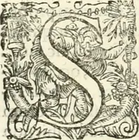 An illustration from I.[-VI.] pars Romanae vrbis topographiae & antiquitatum, quâ succinctê & breviter describuntur omnia quae tam publicê quam privatim videntur anim-adversione digna: (1597)