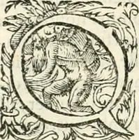 Picture 165 of 333 from I.[-VI.] pars Romanae vrbis topographiae & antiquitatum, quâ succinctê & breviter describuntur omnia quae tam publicê quam privatim videntur anim-adversione digna: (1597), leaf 413