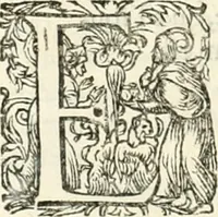 An illustration from I.[-VI.] pars Romanae vrbis topographiae & antiquitatum, quâ succinctê & breviter describuntur omnia quae tam publicê quam privatim videntur anim-adversione digna: (1597)
