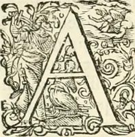 Picture 167 of 333 from I.[-VI.] pars Romanae vrbis topographiae & antiquitatum, quâ succinctê & breviter describuntur omnia quae tam publicê quam privatim videntur anim-adversione digna: (1597), leaf 415