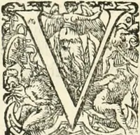 An illustration from I.[-VI.] pars Romanae vrbis topographiae & antiquitatum, quâ succinctê & breviter describuntur omnia quae tam publicê quam privatim videntur anim-adversione digna: (1597)