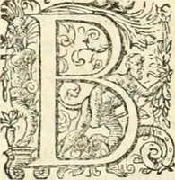 An illustration from I.[-VI.] pars Romanae vrbis topographiae & antiquitatum, quâ succinctê & breviter describuntur omnia quae tam publicê quam privatim videntur anim-adversione digna: (1597)