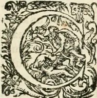 Picture 173 of 333 from I.[-VI.] pars Romanae vrbis topographiae & antiquitatum, quâ succinctê & breviter describuntur omnia quae tam publicê quam privatim videntur anim-adversione digna: (1597), leaf 426