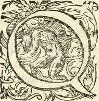 Picture 176 of 333 from I.[-VI.] pars Romanae vrbis topographiae & antiquitatum, quâ succinctê & breviter describuntur omnia quae tam publicê quam privatim videntur anim-adversione digna: (1597), leaf 427