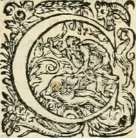An illustration from I.[-VI.] pars Romanae vrbis topographiae & antiquitatum, quâ succinctê & breviter describuntur omnia quae tam publicê quam privatim videntur anim-adversione digna: (1597)