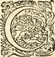 Picture 180 of 333 from I.[-VI.] pars Romanae vrbis topographiae & antiquitatum, quâ succinctê & breviter describuntur omnia quae tam publicê quam privatim videntur anim-adversione digna: (1597), leaf 433
