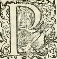 An illustration from I.[-VI.] pars Romanae vrbis topographiae & antiquitatum, quâ succinctê & breviter describuntur omnia quae tam publicê quam privatim videntur anim-adversione digna: (1597)