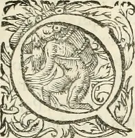 Picture 183 of 333 from I.[-VI.] pars Romanae vrbis topographiae & antiquitatum, quâ succinctê & breviter describuntur omnia quae tam publicê quam privatim videntur anim-adversione digna: (1597), leaf 438