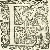 An illustration from I.[-VI.] pars Romanae vrbis topographiae & antiquitatum, quâ succinctê & breviter describuntur omnia quae tam publicê quam privatim videntur anim-adversione digna: (1597)
