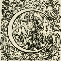 Picture 188 of 333 from I.[-VI.] pars Romanae vrbis topographiae & antiquitatum, quâ succinctê & breviter describuntur omnia quae tam publicê quam privatim videntur anim-adversione digna: (1597), leaf 462