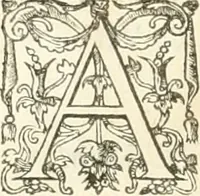 An illustration from I.[-VI.] pars Romanae vrbis topographiae & antiquitatum, quâ succinctê & breviter describuntur omnia quae tam publicê quam privatim videntur anim-adversione digna: (1597)