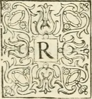Picture 193 of 333 from I.[-VI.] pars Romanae vrbis topographiae & antiquitatum, quâ succinctê & breviter describuntur omnia quae tam publicê quam privatim videntur anim-adversione digna: (1597), leaf 478