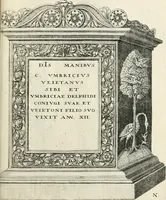 Picture 224 of 333 from I.[-VI.] pars Romanae vrbis topographiae & antiquitatum, quâ succinctê & breviter describuntur omnia quae tam publicê quam privatim videntur anim-adversione digna: (1597), leaf 576