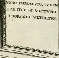 Picture 242 of 333 from I.[-VI.] pars Romanae vrbis topographiae & antiquitatum, quâ succinctê & breviter describuntur omnia quae tam publicê quam privatim videntur anim-adversione digna: (1597), leaf 600